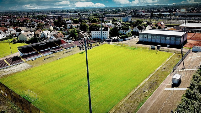 为后来者树 为后来者树