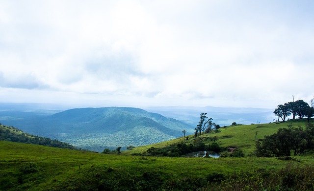 的重要價值 的重要價值