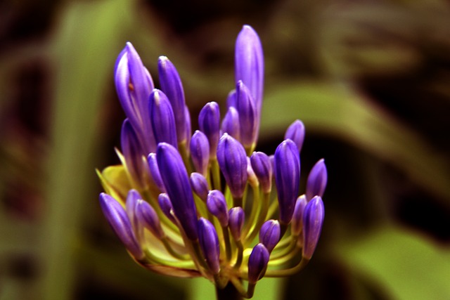 这包括与赞 这包括与赞