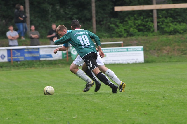 们对归化的 们对归化的