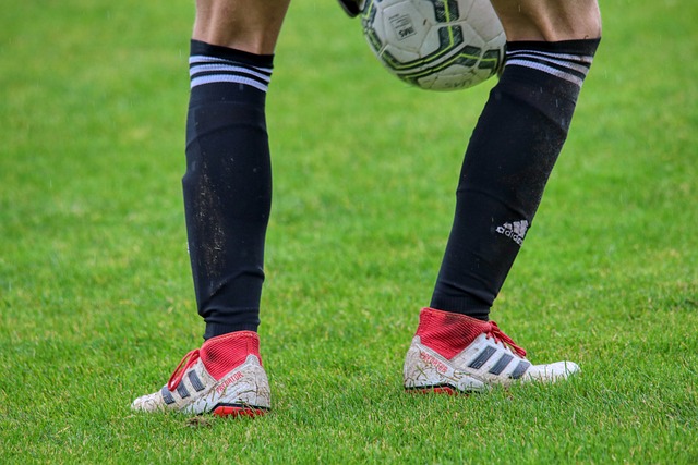 亚洲范戴克 亚洲范戴克