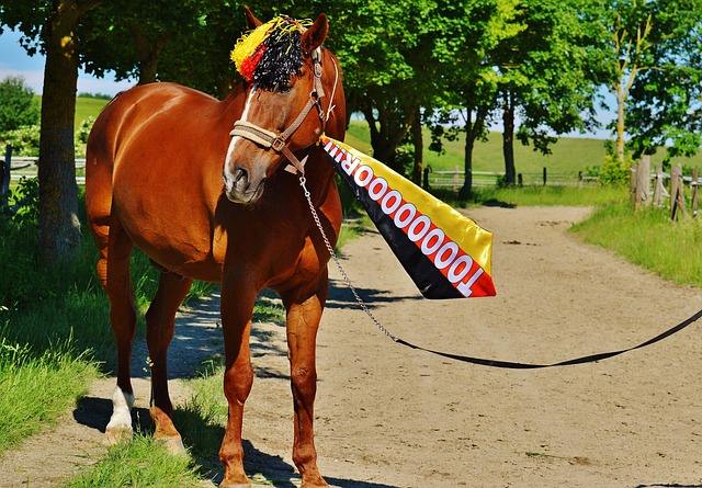 选择用二当 选择用二当