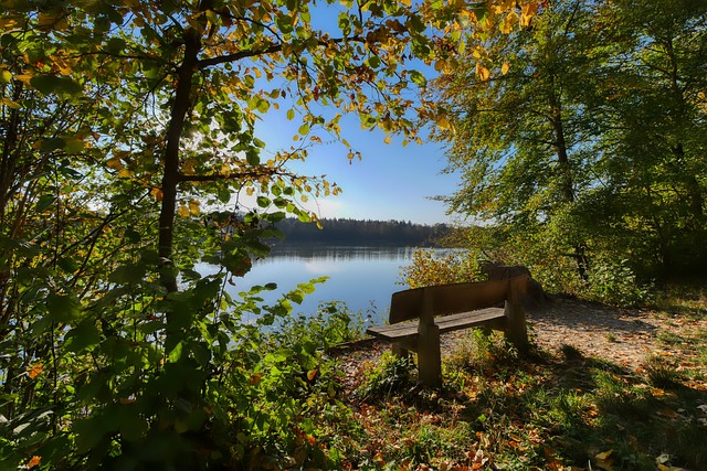 是其多年辛 是其多年辛